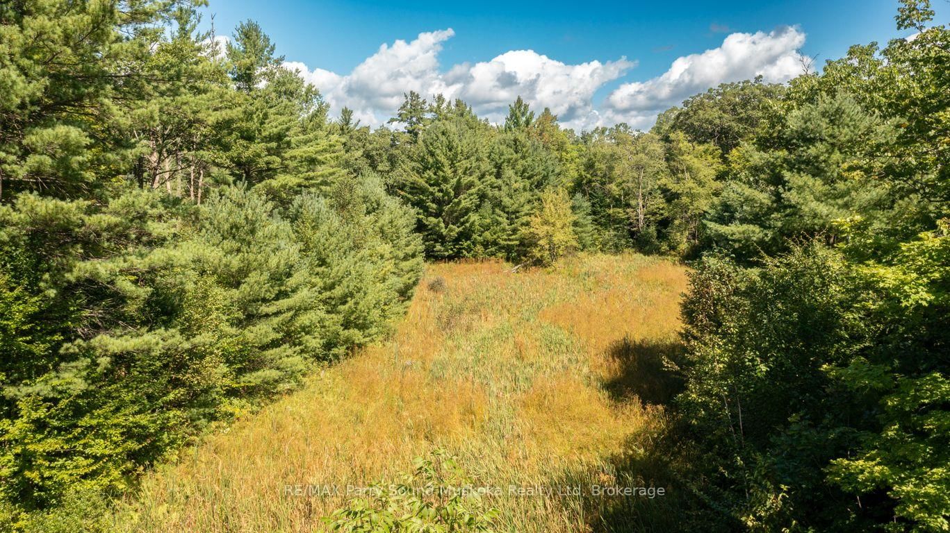 290 RANKIN LAKE Road • Seguin, ON photo 39
