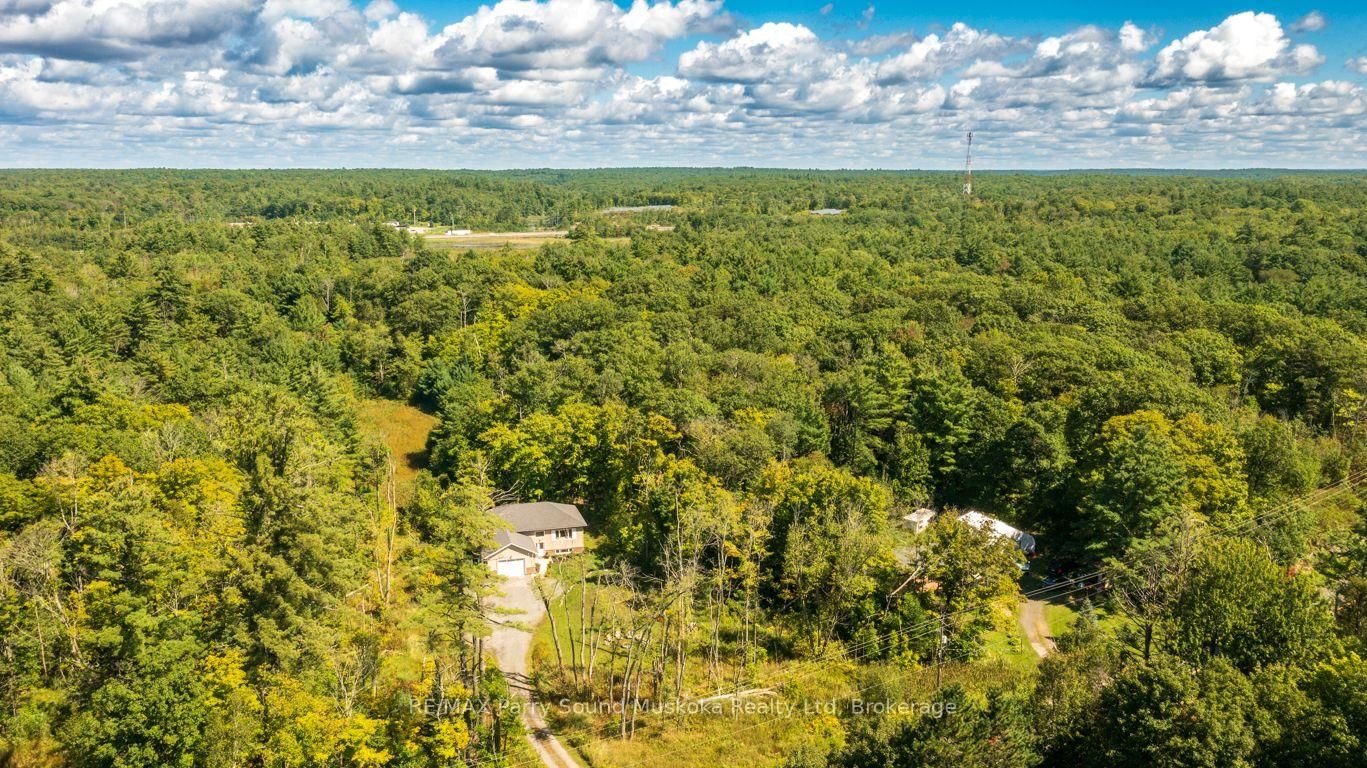 290 RANKIN LAKE Road • Seguin, ON photo 41