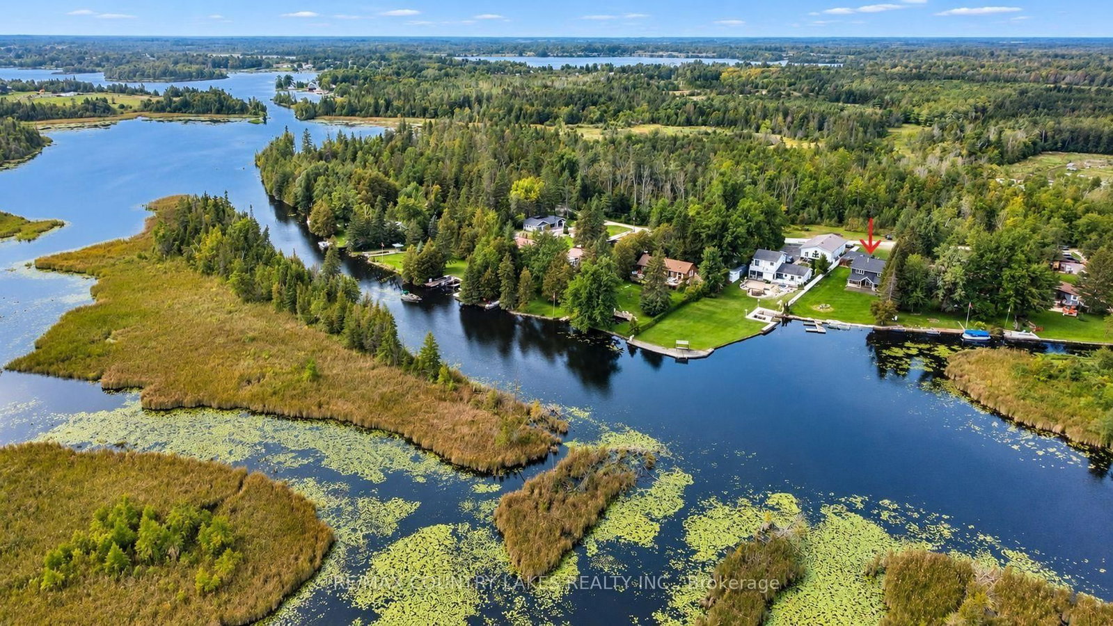 15 Trent View Road • Kawartha Lakes, ON photo 39