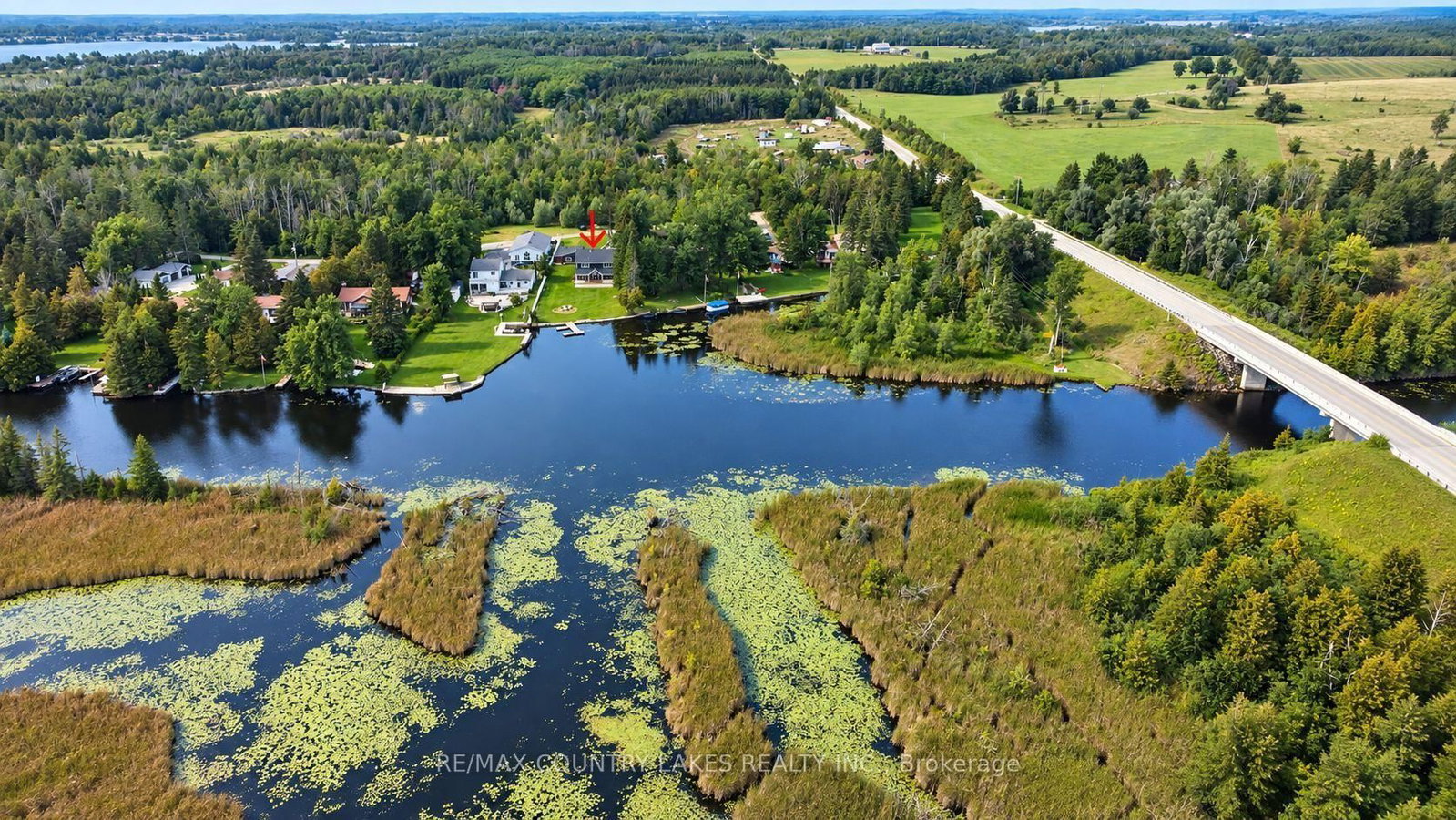 15 Trent View Road • Kawartha Lakes, ON photo 40