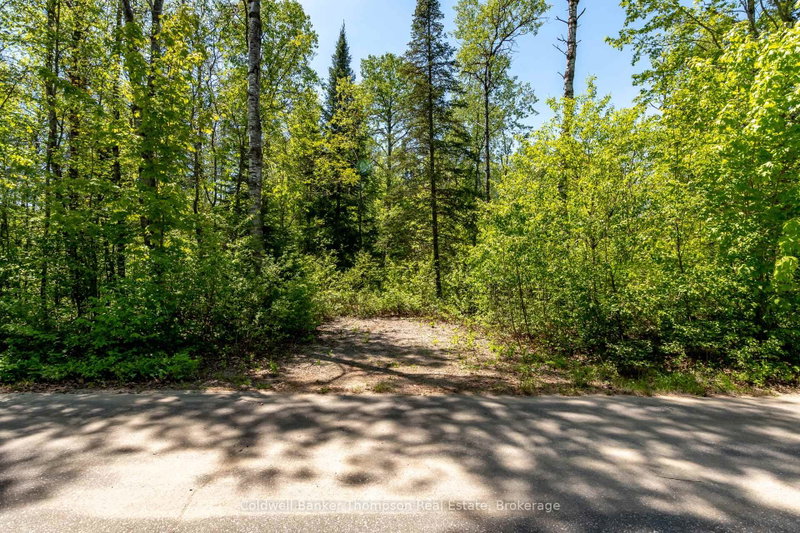 Part 4 Spring Lake Road