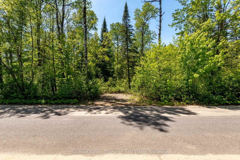 Part 4 Spring Lake Road