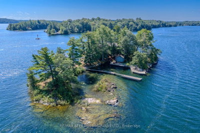 1 Island 49 Island • Leeds and the Thousand Islands, ON photo 3