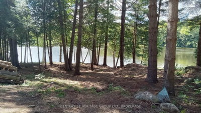 0 Anderson Road • Tichborne, ON photo 6