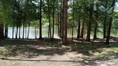 0 Anderson Road • Tichborne, ON photo 7