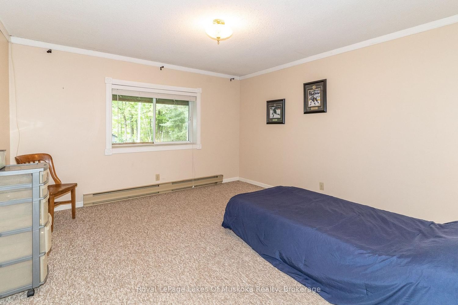 230 Lakeview Avenue • Gravenhurst, ON photo 24