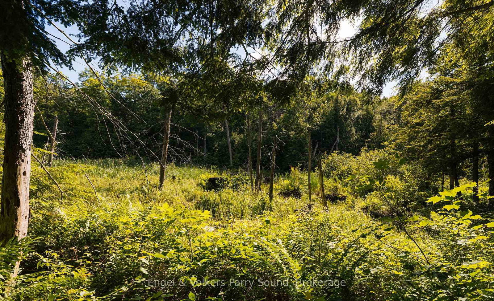 15 Beechwood Drive • Seguin, ON photo 42