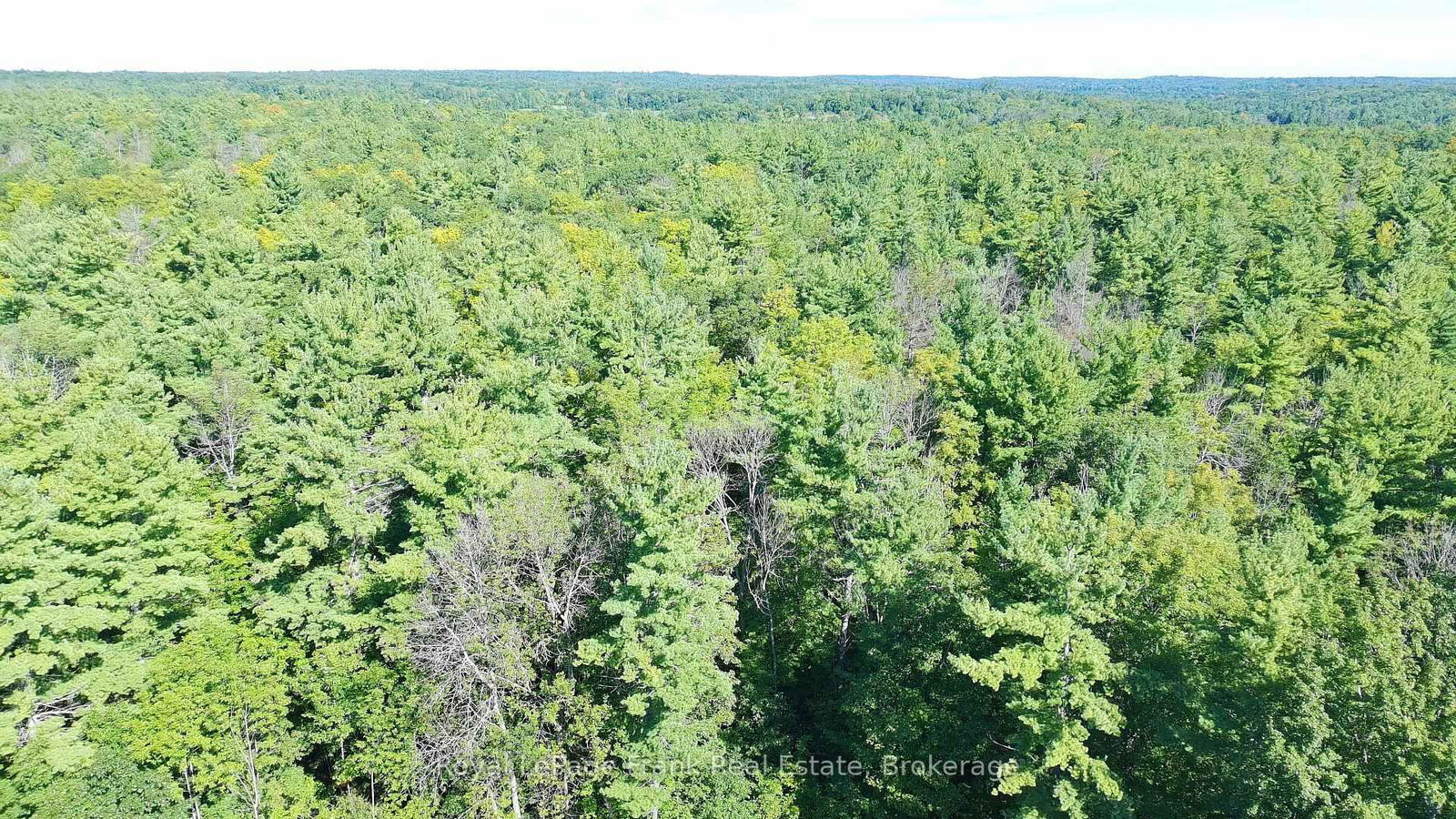 858 Mill Road • Madoc, ON photo 47