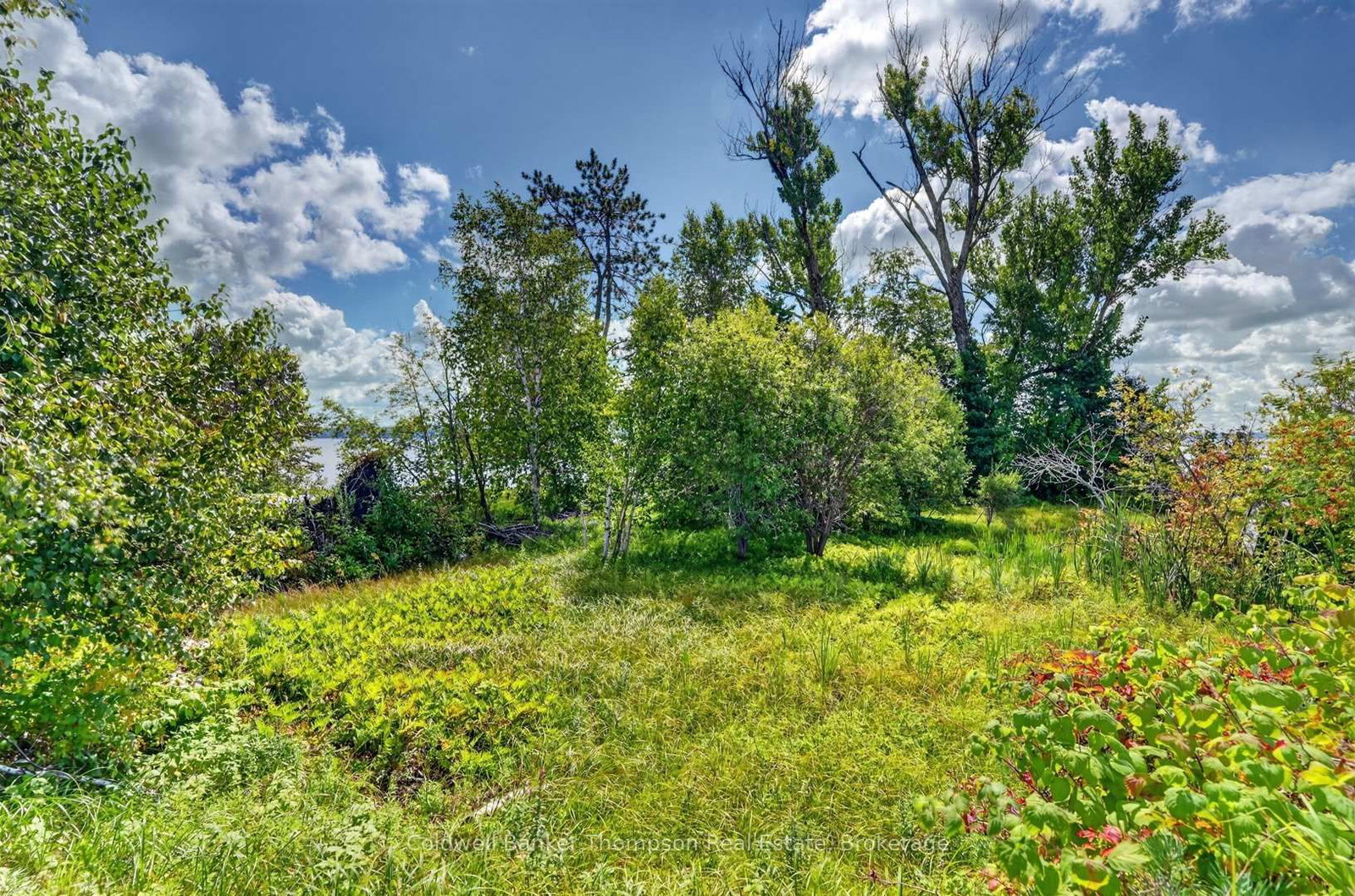 0 Main Street • Sundridge, ON photo 29