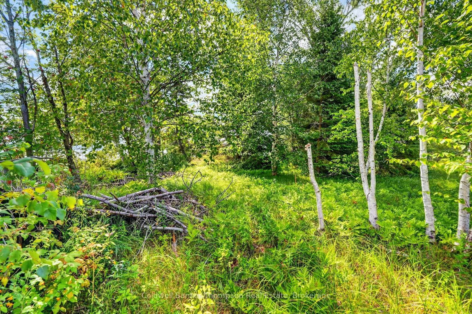 0 Main Street • Sundridge, ON photo 30
