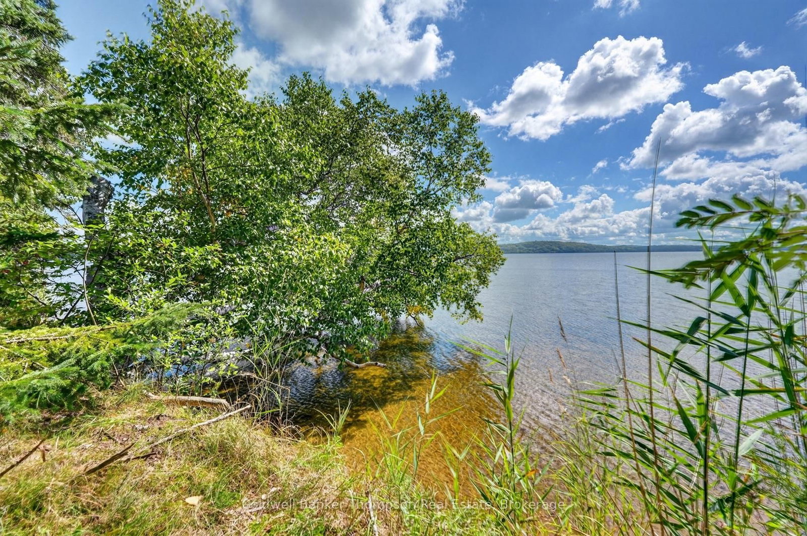 0 Main Street • Sundridge, ON photo 32