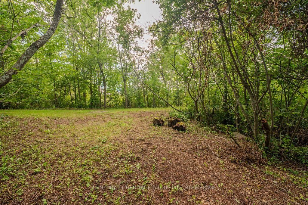 5243 Battersea Road • Battersea, ON photo 10