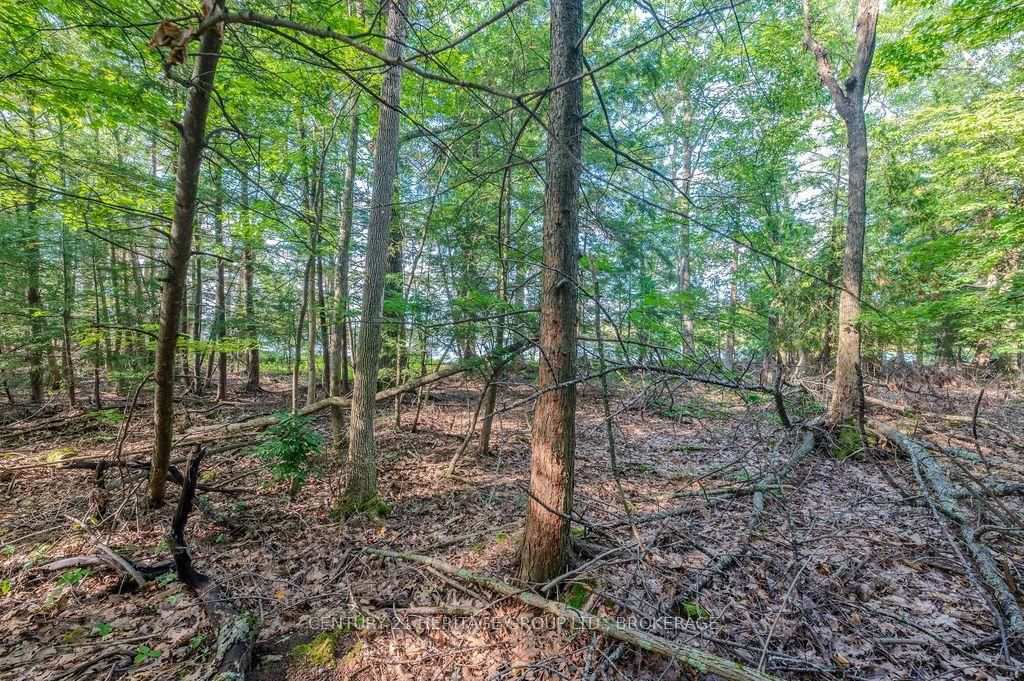 5243 Battersea Road • Battersea, ON photo 12