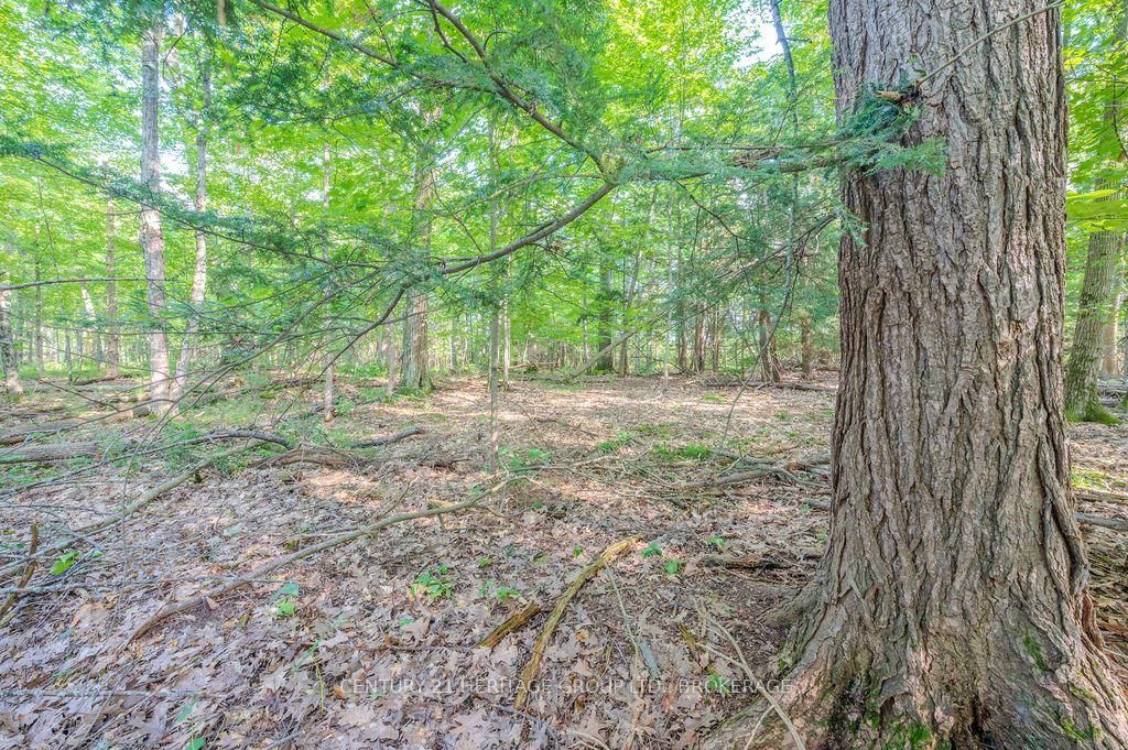 5243 Battersea Road • Battersea, ON photo 15