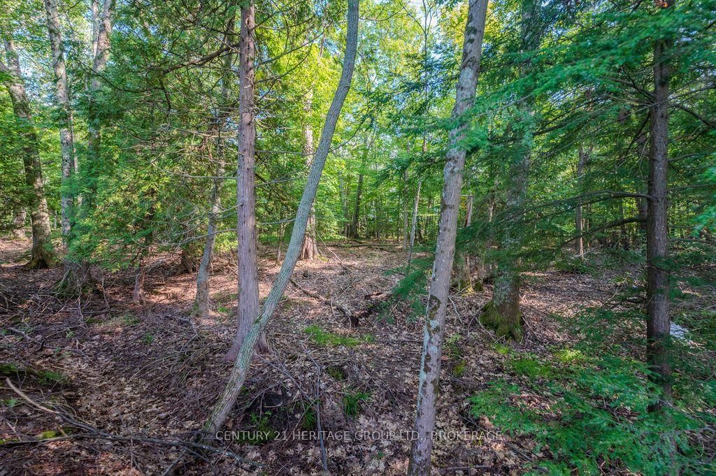 5243 Battersea Road • Battersea, ON photo 20