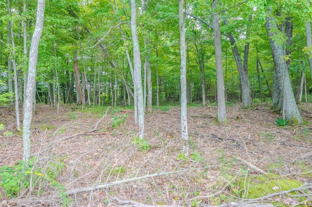 5243 Battersea Road • Battersea, ON photo 21