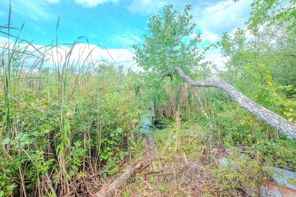 5243 Battersea Road • Battersea, ON photo 23