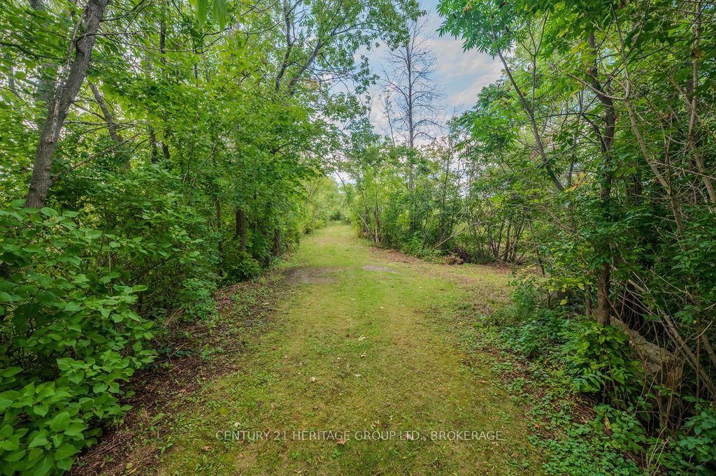 5243 Battersea Road • Battersea, ON photo 9