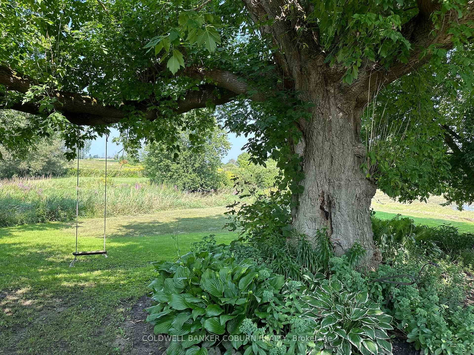 628 Pittston Road • Edwardsburgh/Cardinal, ON photo 43