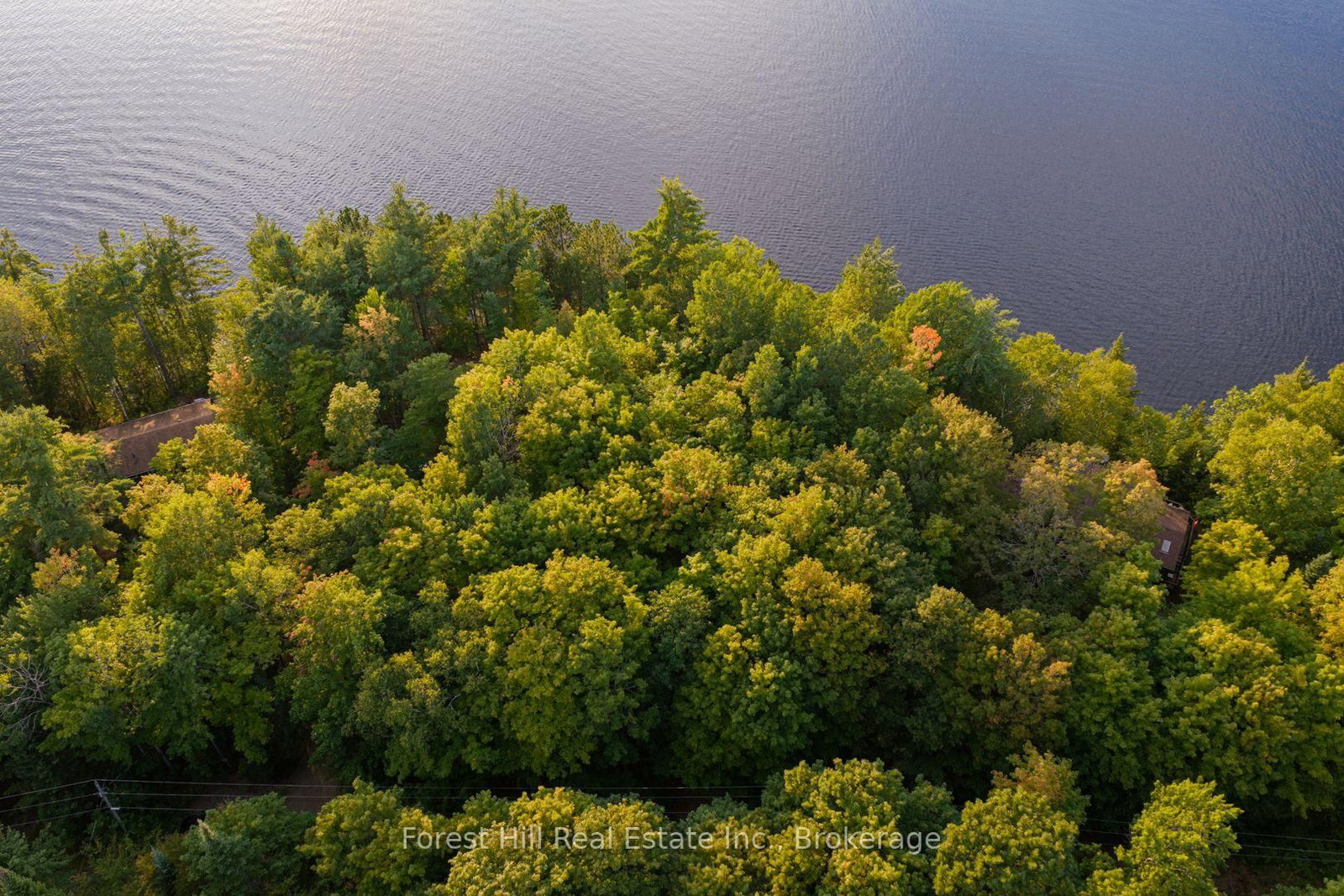 1155 Wolf Circle • Algonquin Highlands, ON photo 17