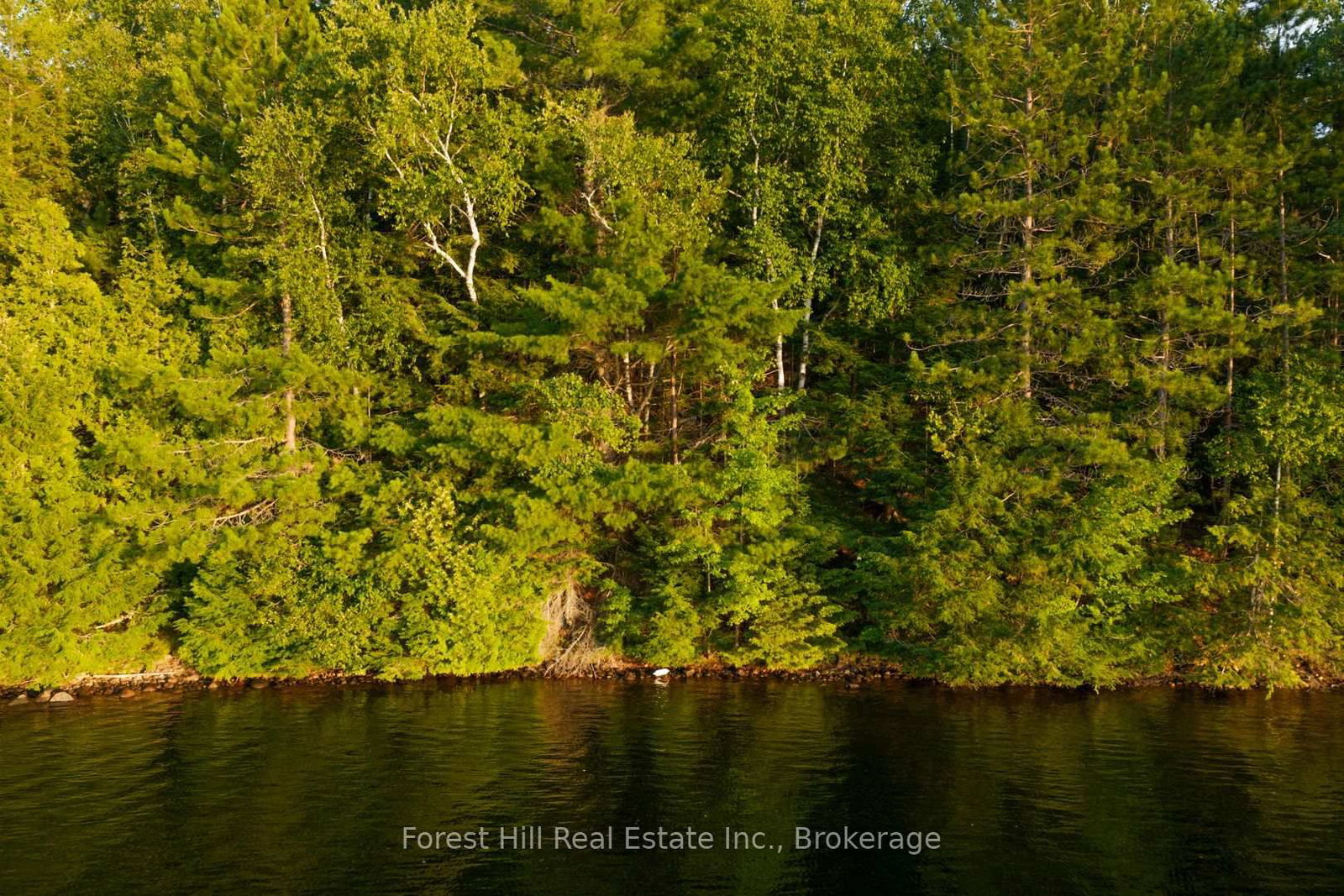 1155 Wolf Circle • Algonquin Highlands, ON photo 23