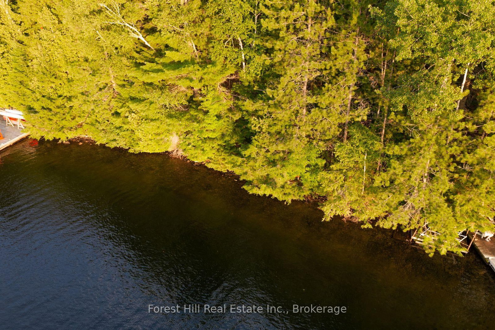 1155 Wolf Circle • Algonquin Highlands, ON photo 24
