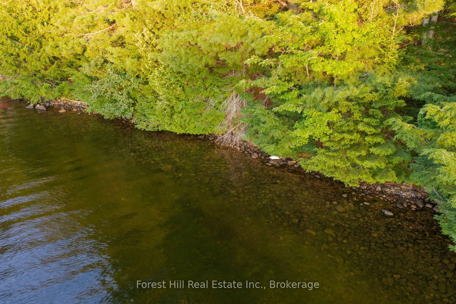 1155 Wolf Circle • Algonquin Highlands, ON photo 35