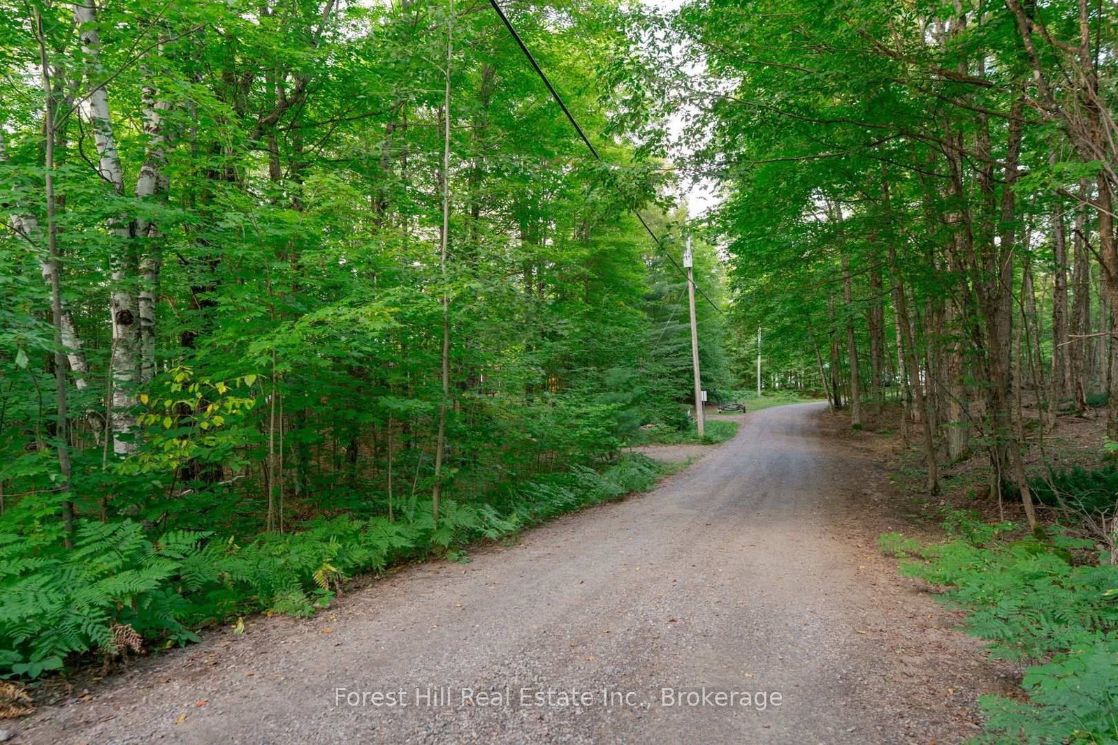1155 Wolf Circle • Algonquin Highlands, ON photo 39