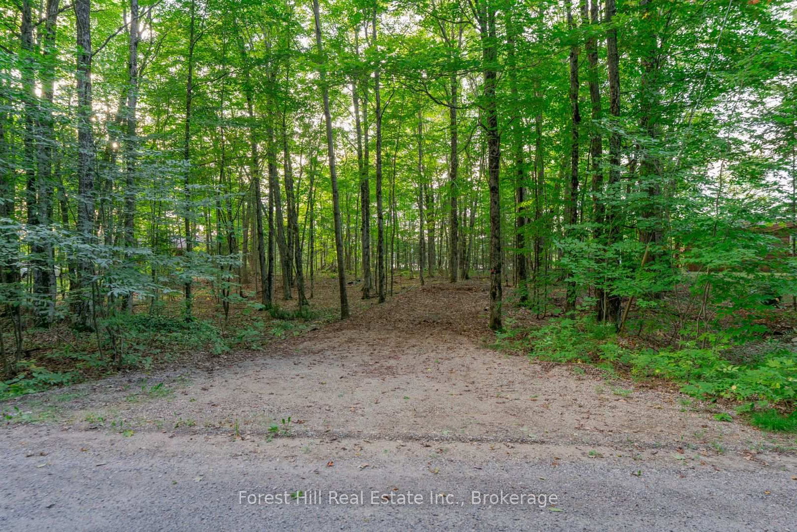 1155 Wolf Circle • Algonquin Highlands, ON photo 40