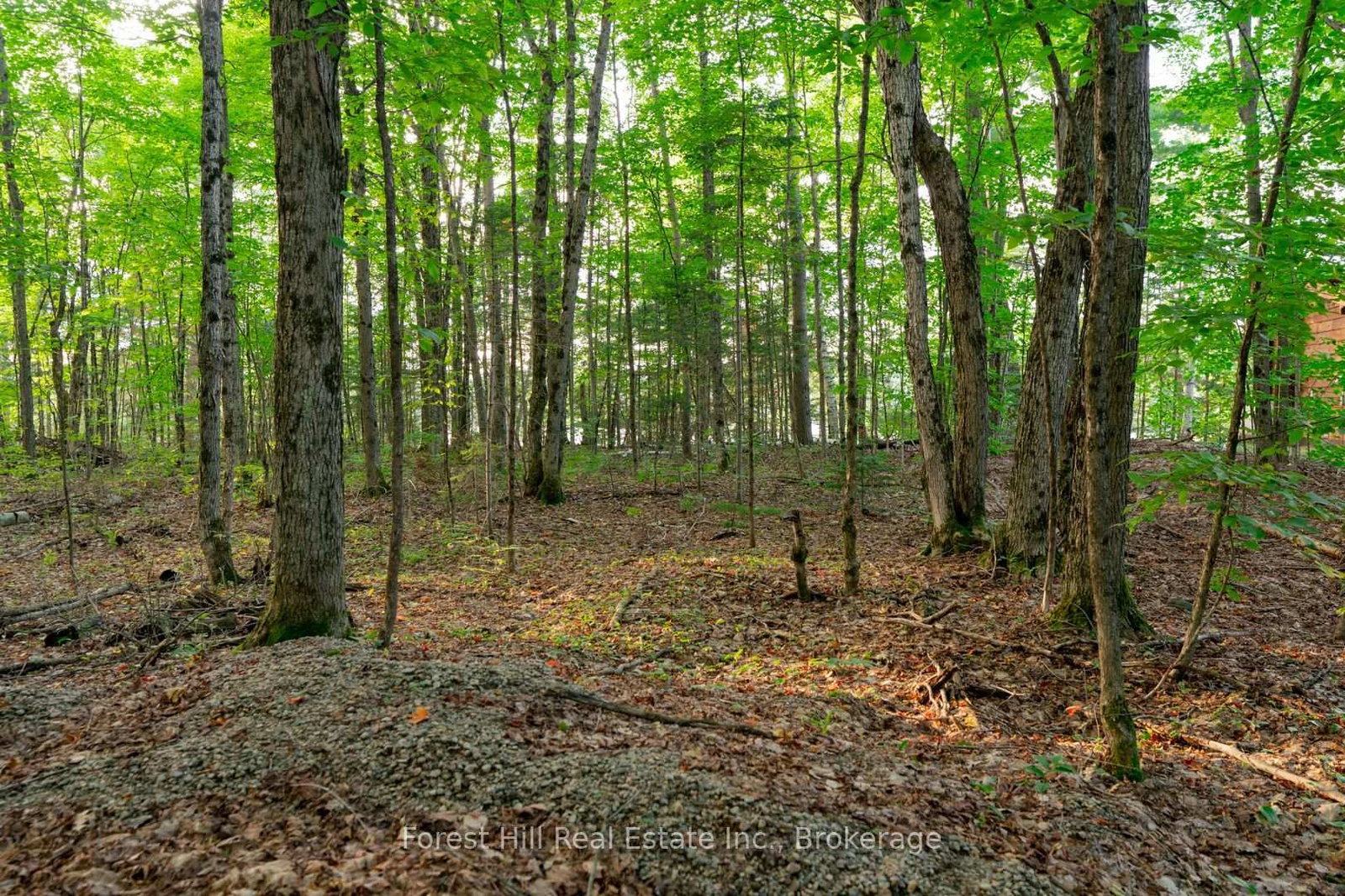 1155 Wolf Circle • Algonquin Highlands, ON photo 42