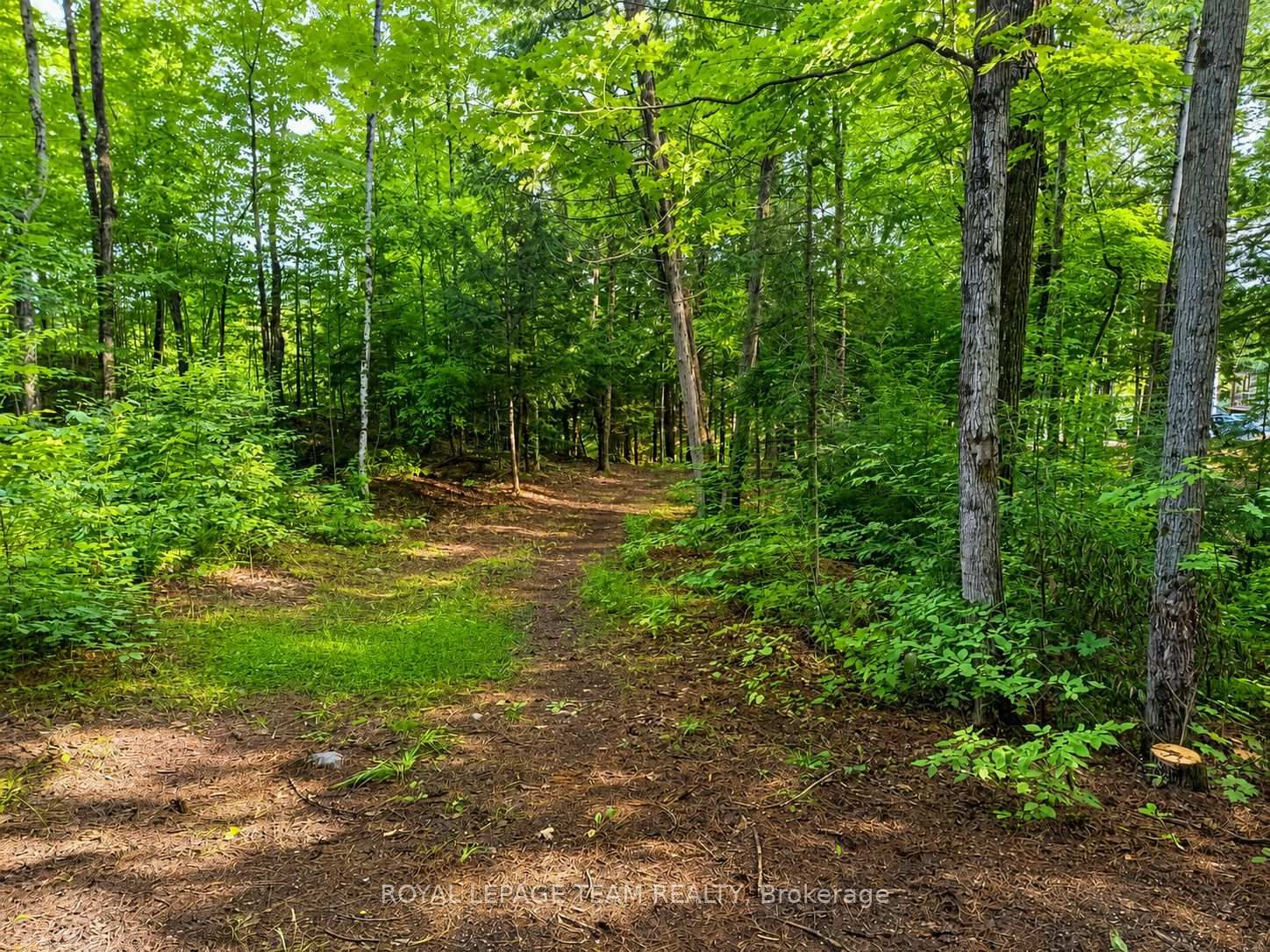 110 Mcvicar Lane • White Lake, ON photo 8