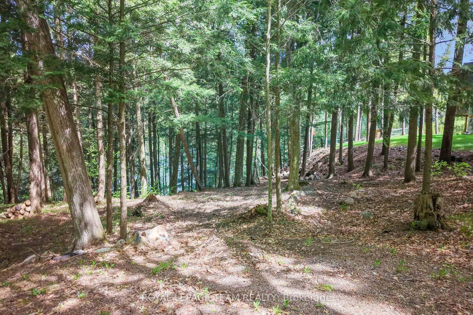 110 Mcvicar Lane • White Lake, ON photo 9