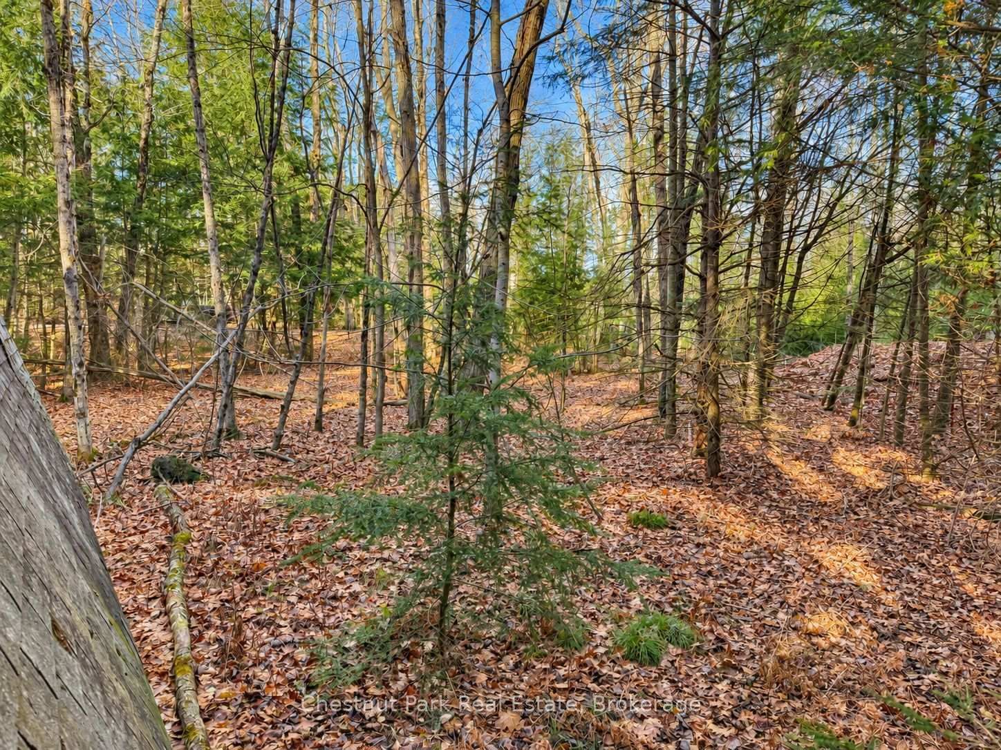 26 Blair Point Road • Seguin, ON photo 10