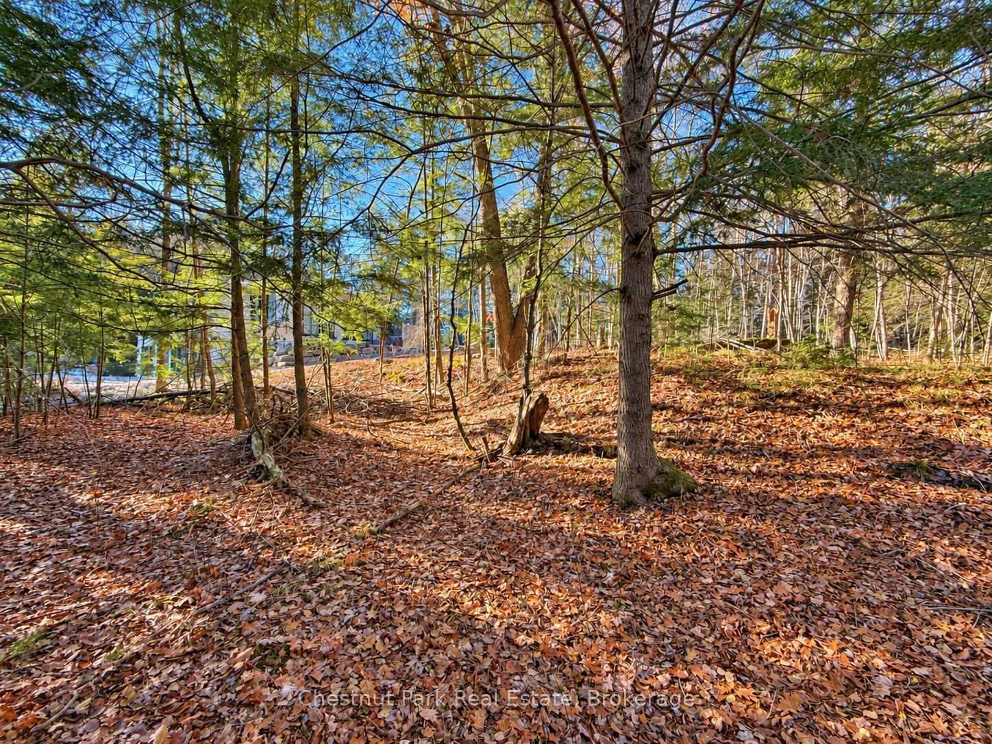 26 Blair Point Road • Seguin, ON photo 4