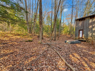 26 Blair Point Road • Seguin, ON photo 6