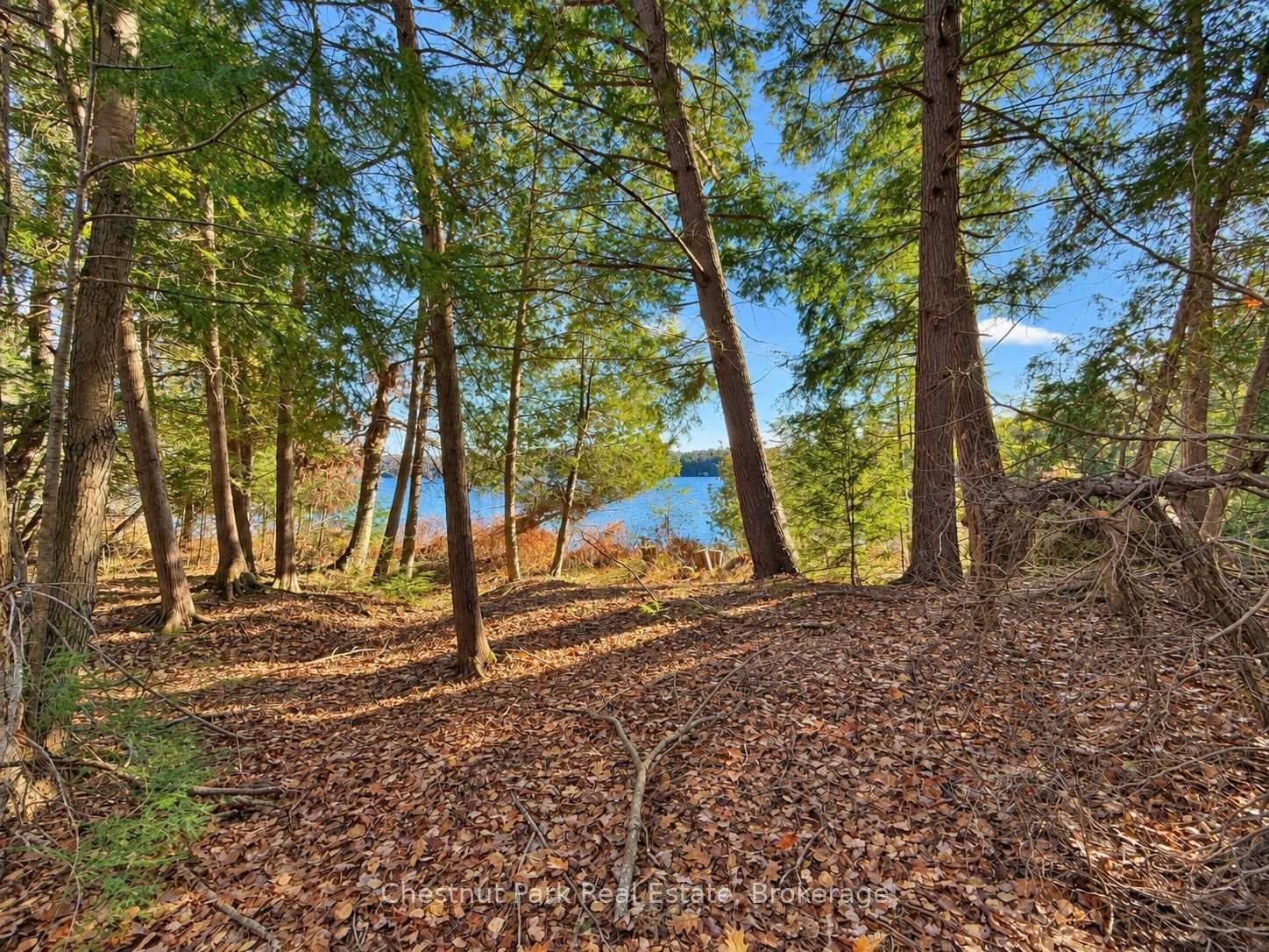 26 Blair Point Road • Seguin, ON photo 9