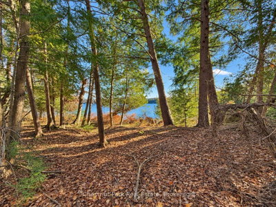 26 Blair Point Road • Seguin, ON photo 9