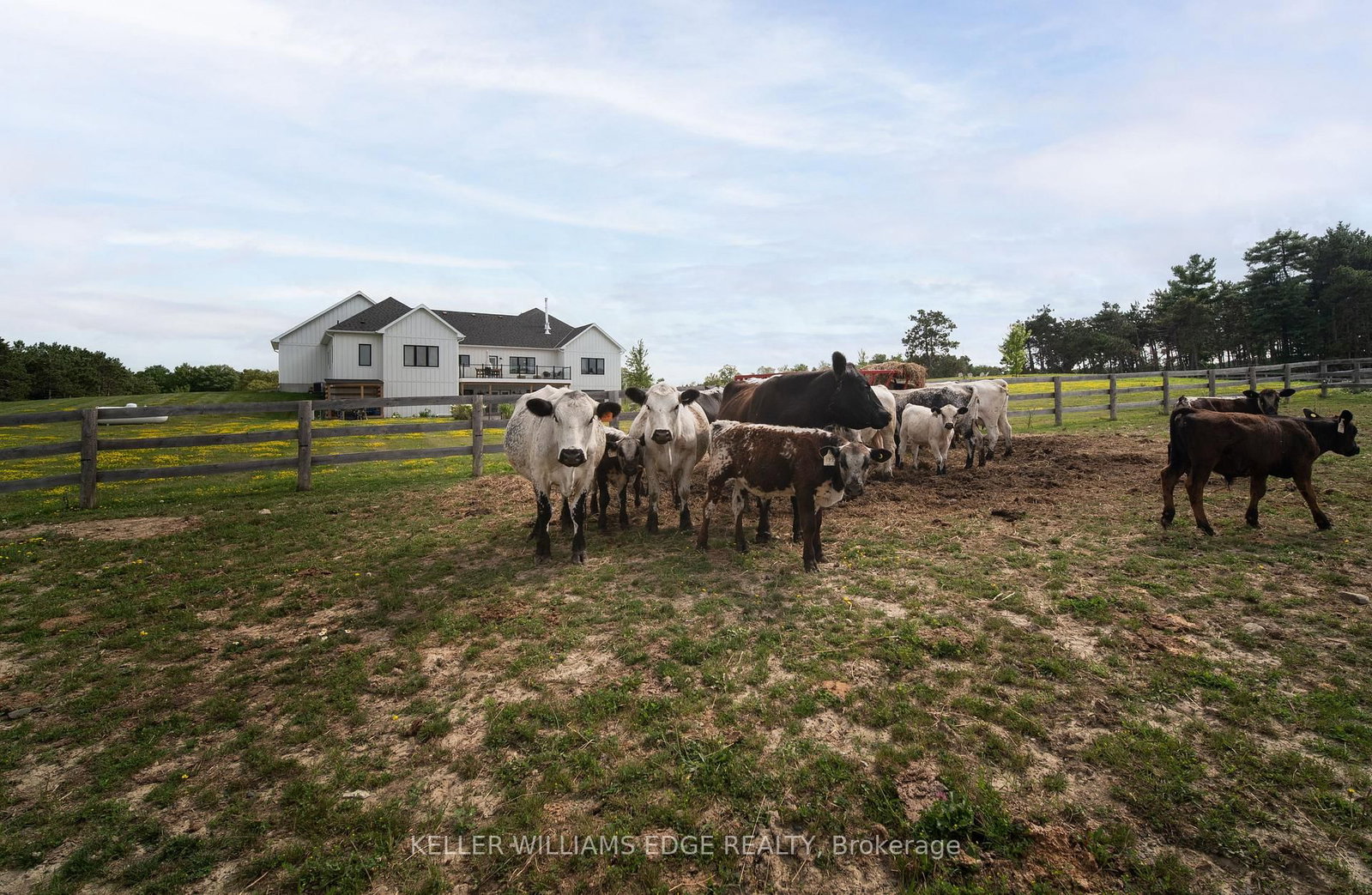 568211 9 Side Road • Mulmur, ON photo 46