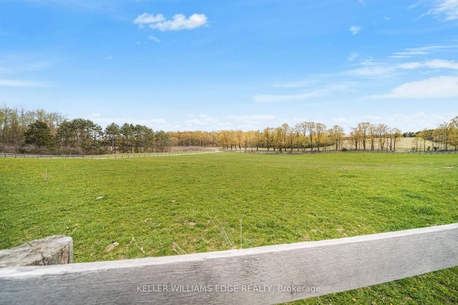 568211 9 Side Road • Mulmur, ON photo 48