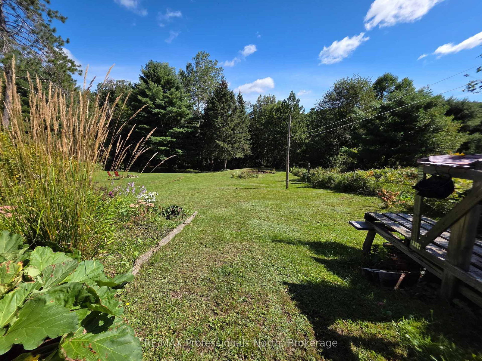342 Bobcaygeon Road • Minden Hills, ON photo 35