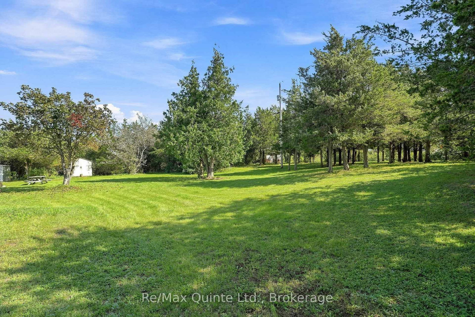 4561 County Road 13 Road • Prince Edward County, ON photo 17