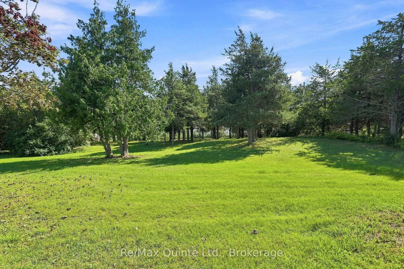 4561 County Road 13 Road • Prince Edward County, ON photo 18