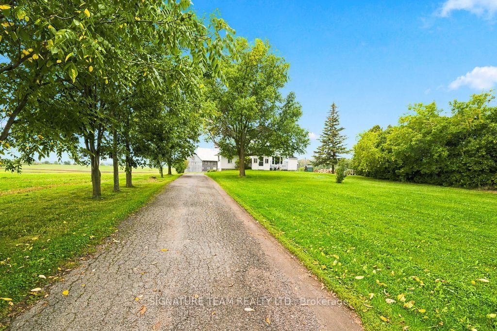 19573 17 Highway • Cobden, ON photo 2