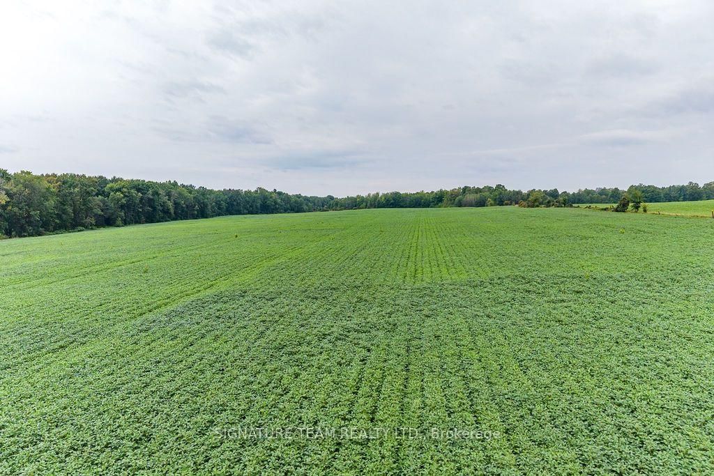 19573 17 Highway • Cobden, ON photo 46