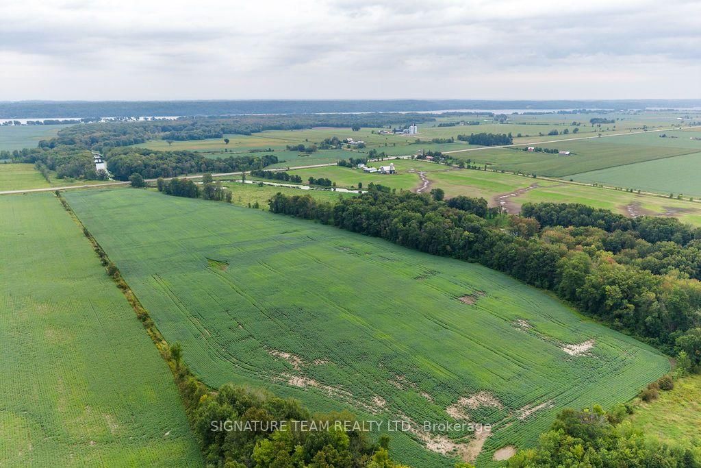 19573 17 Highway • Cobden, ON photo 47