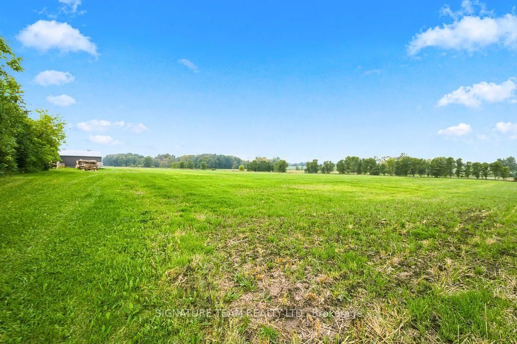 19573 17 Highway • Cobden, ON photo 50