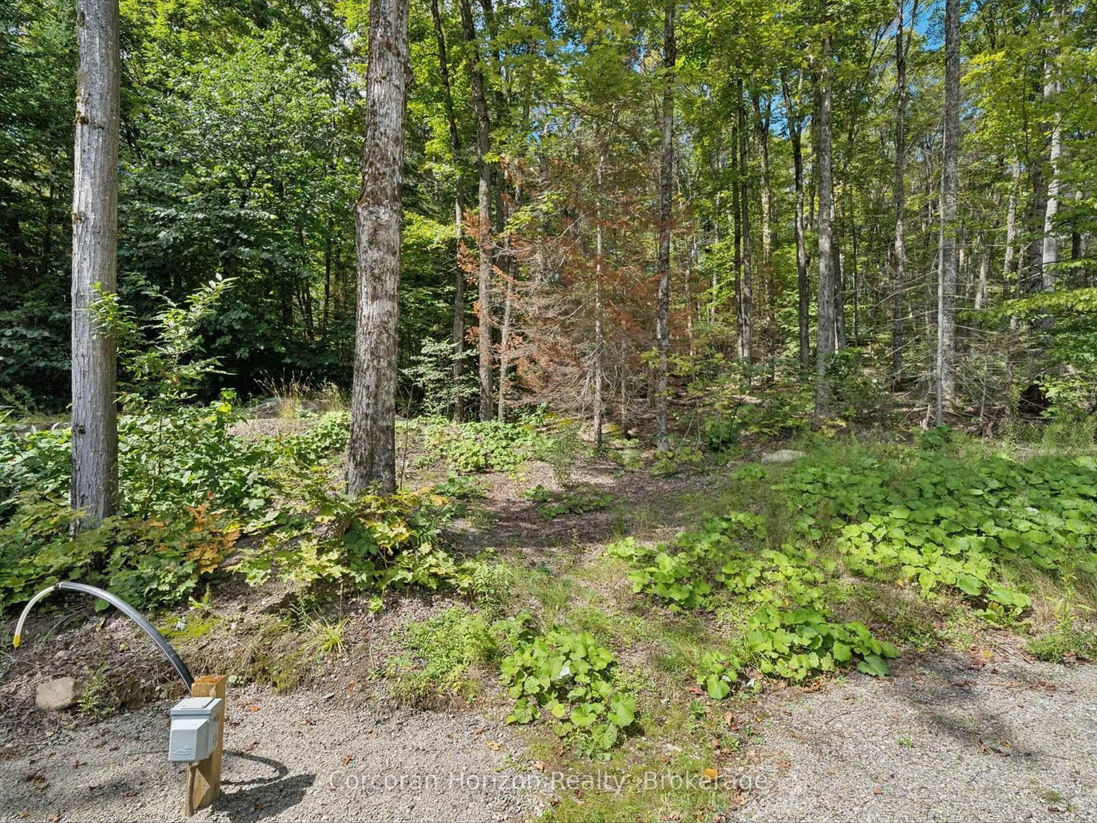 1211 Pluto Trail • Dysart et al, ON photo 32