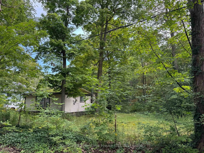 1008 Ridgewood Ave photo 4