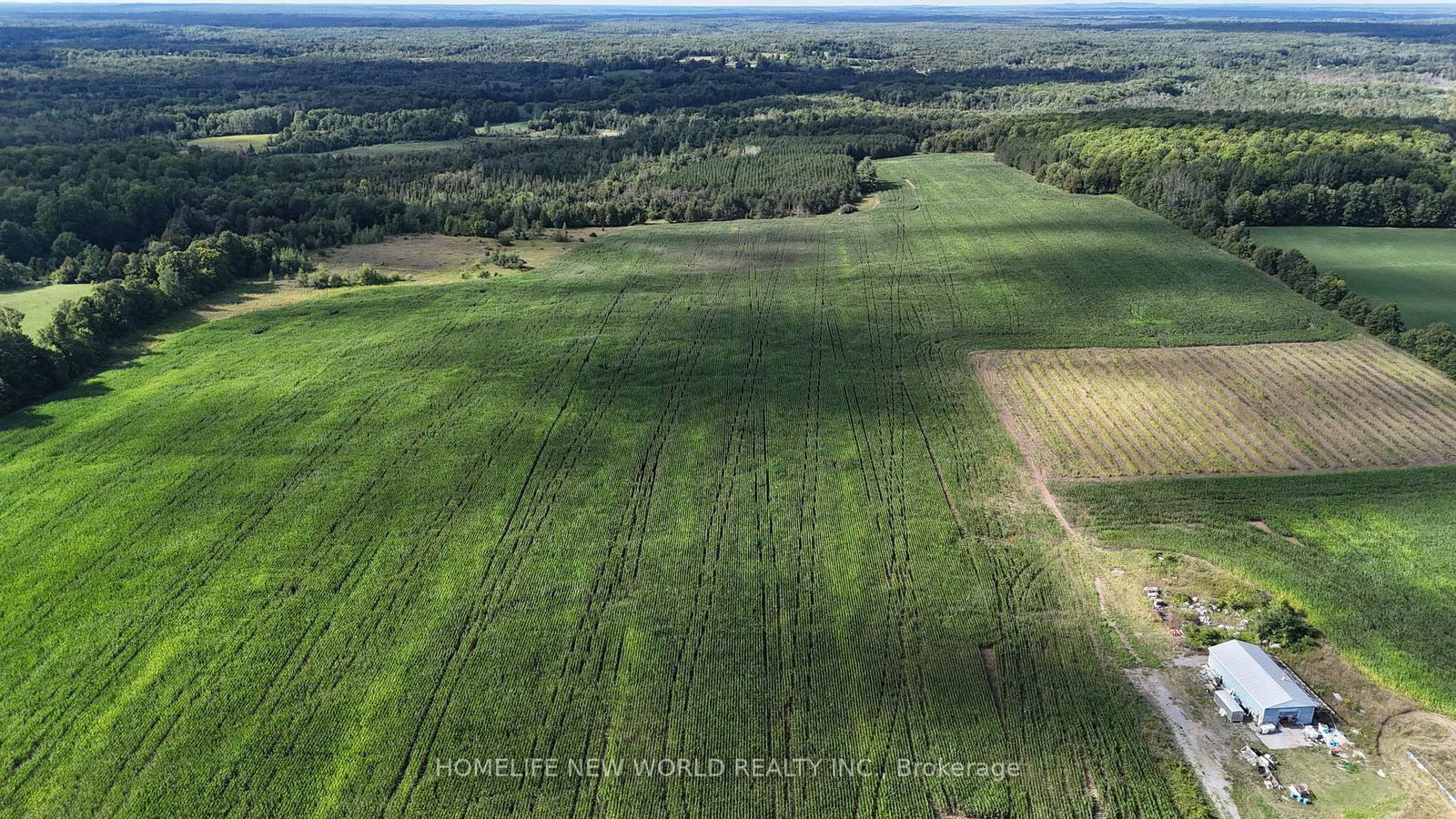 814 THOMASBURG Road • Madoc, ON photo 31