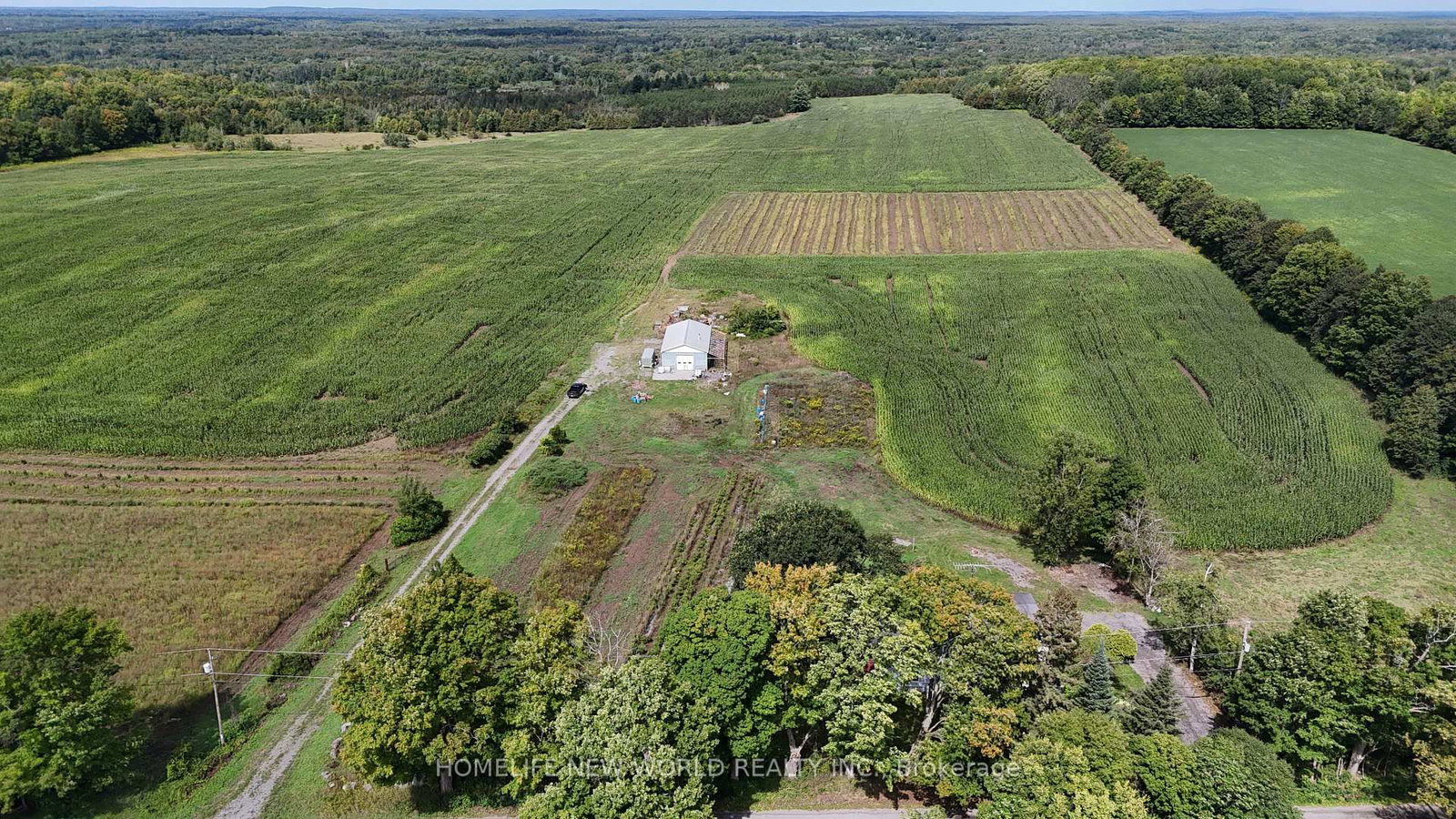 814 THOMASBURG Road • Madoc, ON photo 33